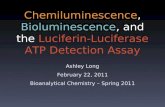 Chemiluminescence, Bioluminescence, and the Luciferin-Luciferase ATP Detection Assay Ashley Long February 22, 2011 Bioanalytical Chemistry – Spring 2011.