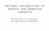 Antigen recognition in innate and adaptive immunity Diversity in antigen recognition receptors.
