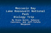 Moccasin Bay Lake Roosevelt National Park Biology Trip By Riann Quinn, Rebecca Carstens, and Jeff-fafafa Bergeron.