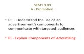 SEM1 3.03 A - Promotion PE – Understand the use of an advertisement’s components to communicate with targeted audiences PI - Explain Components of Advertising.