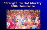Strength in Solidarity SEWA Insurance. SEWA Insurance (Vimo SEWA): Membership 80,389 Women 34,753 Men 18,541 Children 133,683 Total insured.