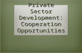 Private Sector Development: Cooperation Opportunities.