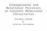 Interpersonal and Relational Processes in Conjoint Behavioral Consultation Ariadne Schemm & Valerie Gortmaker.