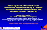 The Tilarginine Acetate Injection in a Randomized International Study in Unstable Acute Myocardial Infarction Patients with Cardiogenic Shock (TRIUMPH)