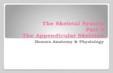 The Skeletal System Part 2 The Appendicular Skeleton Honors Anatomy & Physiology.