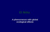 El Niño A phenomenon with global ecological effects.