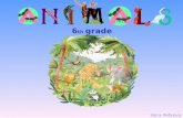6 th grade Iskra Petkova Do you like animals?  What is your favourite animal?  Where does your favourite animal live?  Is it a pet?  Is it a farm.