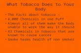What Tobacco Does to Your Body The Facts about tobacco – 4,000 Chemicals in one Puff Almost all of them make the body unable to work the way it should.
