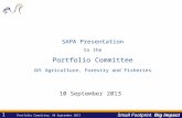 1 1 Portfolio Committee; 10 September 2013 SAPA Presentation to the Portfolio Committee on Agriculture, Forestry and Fisheries 10 September 2013.