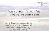 Waste Handling for Swine Production Lori Marsh, Associate Professor, Biological Systems Engineering, Virginia Tech.
