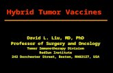 Hybrid Tumor Vaccines David L. Liu, MD, PhD Professor of Surgery and Oncology Tumor Immunotherapy Division RedSun Institute 242 Dorchester Street, Boston,