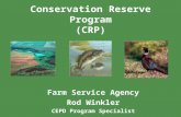 Conservation Reserve Program (CRP) Farm Service Agency Rod Winkler CEPD Program Specialist.