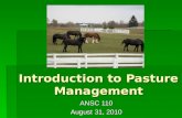 Introduction to Pasture Management ANSC 110 August 31, 2010.