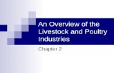 An Overview of the Livestock and Poultry Industries Chapter 2.