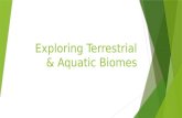 Exploring Terrestrial & Aquatic Biomes. Overview: Discovering Ecology  Ecology is the scientific study of the interactions between organisms and the.