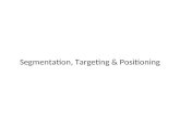 Segmentation, Targeting & Positioning. Why do this? Overview: Segmentation, Targeting & Positioning.