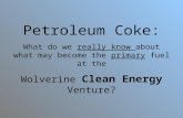 Petroleum Coke: What do we really know about what may become the primary fuel at the Wolverine Clean Energy Venture?