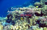 By A. Bittinger. Outline… Importance of Coral Reefs Diagnosis Identifying Problems Mitigation Measures Coral Reef Restoration.