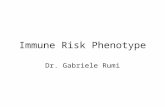 Immune Risk Phenotype Dr. Gabriele Rumi. Effect of the genetic background and aging on the immune system.