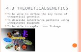 4.3 T HEORETICAL G ENETICS To be able to define the key terms of theoretical genetics To describe inheritance patterns using inheritance diagrams To be.