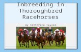 Inbreeding in Thoroughbred Racehorses By Katherine Taylor.