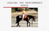 1 JUDGING THE PERFORMANCE HORSE. 2 Possible Classes  Western Pleasure  Hunter Under Saddle  Hunter Hack  Reining  Western Riding  Hunt Seat Equitation.