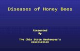 Diseases of Honey Bees Presented By The Ohio State Beekeeper’s Association.