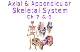 Long Bones- metacarples, metatarsals, phelangies, humerus, ulna, radius, tibia, fibula Short Bones- carpals, tarsals Flat Bones- rib, scapula, skull,