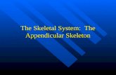 The Skeletal System: The Appendicular Skeleton. Divisions of the Skeletal System Axial skeleton—protects and supports the internal organs Axial skeleton—protects.