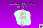 SKELETONS AND JOINTS. FUNCTIONS SHAPE AND SUPPORT – provides a frameSHAPE AND SUPPORT – provides a frame MOVEMENT – occurs where bones meetMOVEMENT –