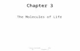 Chapter 3 The Molecules of Life Laura Coronado Bio 10 Chapter 3.