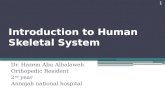 Introduction to Human Skeletal System Dr. Hazem Abu Alhalaweh Orthopedic Resident 2 nd year Annajah national hospital 1.
