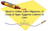 Rural-to-Urban Labor Migration: A Study of Upper Egyptian Laborers in Cairo By Ayman Zohry.