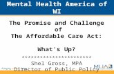 Mental Health America of WI The Promise and Challenge of The Affordable Care Act: What’s Up? *********************** Shel Gross, MPA Director of Public.