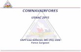 COMNAVAIRFORES USNAC 2015 CAPT Lou Gilleran, MC (FS), USN Force Surgeon.
