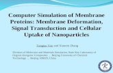 Computer Simulation of Membrane Proteins: Membrane Deformation, Signal Transduction and Cellular Uptake of Nanoparticles Tongtao Yue and Xianren Zhang.