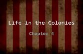 Life in the Colonies Chapter 4. Facts about the colonies Higher birth rate, lower death rate Larger populations from immigration Farming was main economic.