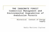 THE INANIMATE FOREST Commercial Management and Environmental Degradation of Andalusian Forests Historical Context of Energy Supply Nadia Martínez Espinar.