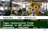 ANGKANA “ TAO” MAKVILAI Tiger Conservation Pride Campaign in HKK wildlife Sanctuary, Thailand CRITICAL ANALYSIS PRESENTATION.