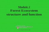 O.T. Helgerson WSUCE 10/02 Module 2 Forest Ecosystem structure and function.