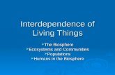 Interdependence of Living Things  The Biosphere  Ecosystems and Communities  Populations  Humans in the Biosphere.