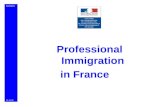 MIIINDS Professional Immigration in France 25.11.08.