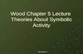 Wood Chapter 5 1 Wood Chapter 5 Lecture Theories About Symbolic Activity.