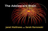 The Adolescent Brain Janet Matthews and Sarah Ramowski.