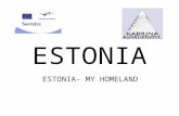 ESTONIA ESTONIA- MY HOMELAND General information: AREA POPULATION CAPITAL LANGUAGE CURRENCY MAIN RELIGION NATIONAL HOLIDAY NATIONAL FLOWER NATIONAL BIRD.