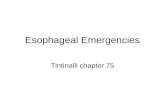 Esophageal Emergencies Tintinalli chapter 75. Anatomy/Physiology Muscular tube 20-25 cm long Majority in mediastinum, post/lat to trachea Outer longitudinal.