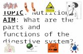 TOPIC: Nutrition AIM: What are the parts and functions of the digestive system?