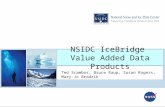 NSIDC IceBridge Value Added Data Products Ted Scambos, Bruce Raup, Susan Rogers, Mary-Jo Brodzik.