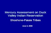 Mercury Assessment on Duck Valley Indian Reservation Shoshone-Paiute Tribes June 3, 2008.
