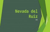 Nevada del Ruiz 1985. Background Info Location Nevada del Ruiz is located on the border of the departments of Caldas in Colombia about 129 km west of.